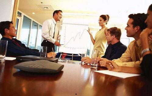 国产商业谈判片段视频,智慧交锋，策略制胜