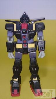 国产模型扎古老虎视频,视频展示精湛技艺与独特魅力