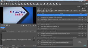 国产一键翻译视频,跨越语言障碍，畅享全球资讯