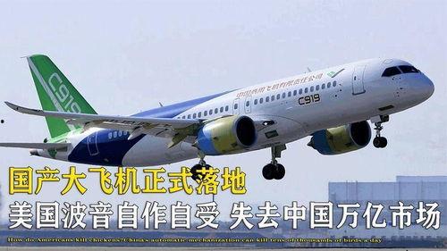 国产飞机落地视频在线看,云端翱翔，国产骄傲