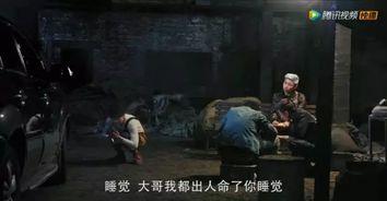 国产网剧骗局视频大全集,视频大全集深度剖析