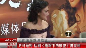 国产夫妻对白视频av,情感纠葛与生活百态