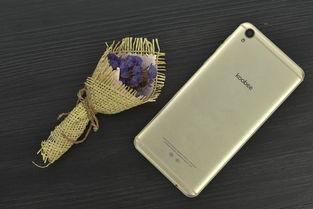 青鱼手机国产视频大全,青鱼手机视频大全深度解析