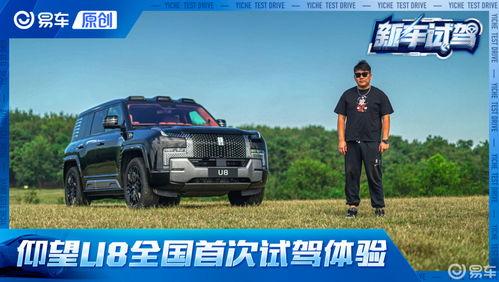 国产豪车测试视频,惊艳表现，国产豪华车崛起之路