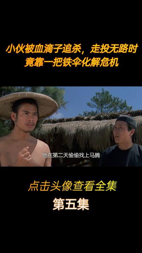 国产武打片解说视频网站,揭秘国产武打片解说视频网站的魅力之旅