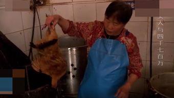 国产视频干老妇