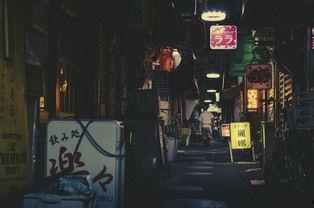 午夜视频国产和日本区别