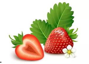 草莓视频国产好片推荐