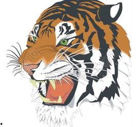 国产老虎沙雕解说动漫视频