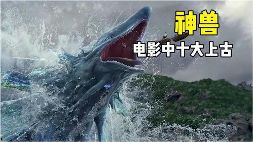 国产神兽视频大全集