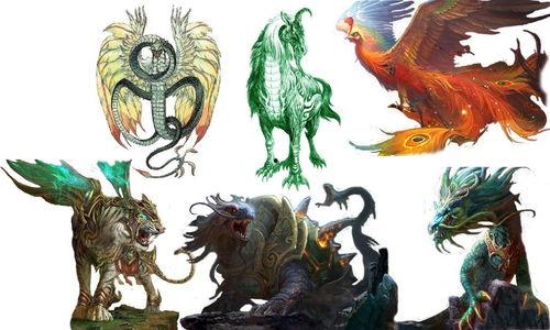 国产神兽视频大全集