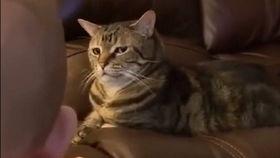 国产吸奶视频网站,揭秘母婴护理新趋势